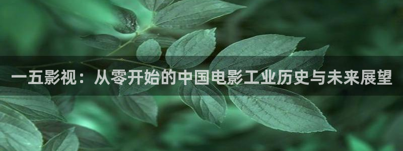 依依私人影院