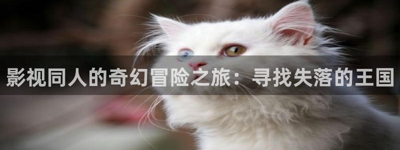 依依影院伦理片