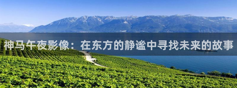 依依影片