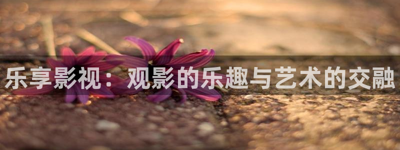 依依影院伦理片